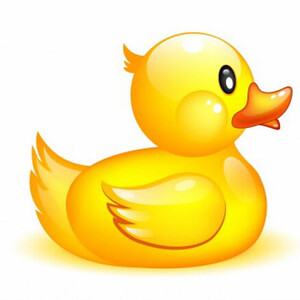 Team Page: Team Karen Joyce